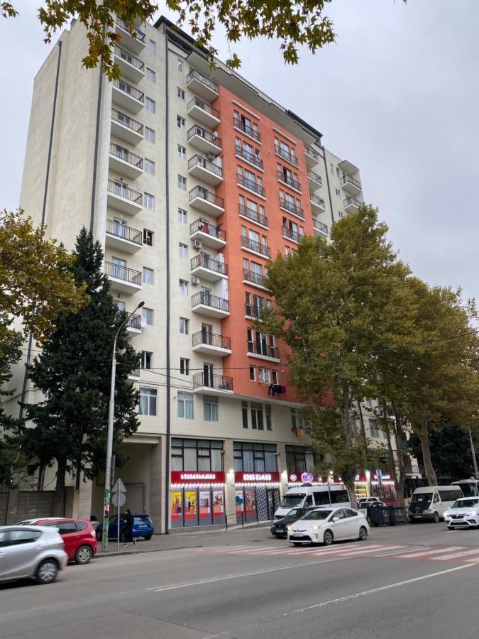 Gss Apartment Tbilisi Zewnętrze zdjęcie